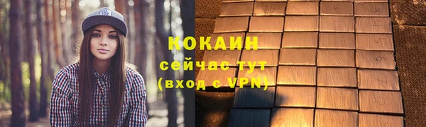 прущие грибы Пересвет