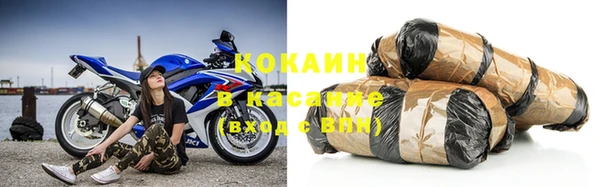 трава Осинники