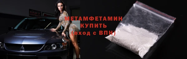прущие грибы Пересвет