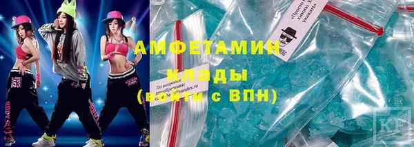 прущие грибы Пересвет