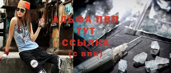 трава Осинники