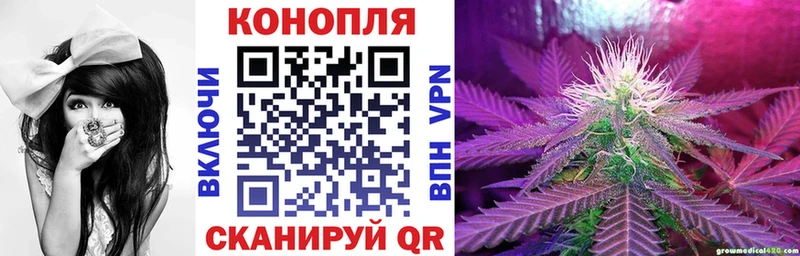 МАРИХУАНА сатива  закладка  Райчихинск 